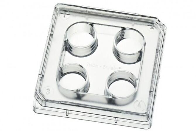 Four Well Dish Petri Kabı